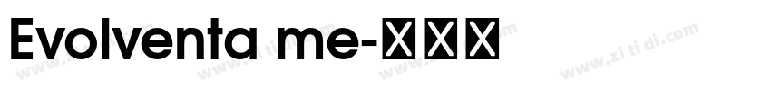 Evolventa me字体转换